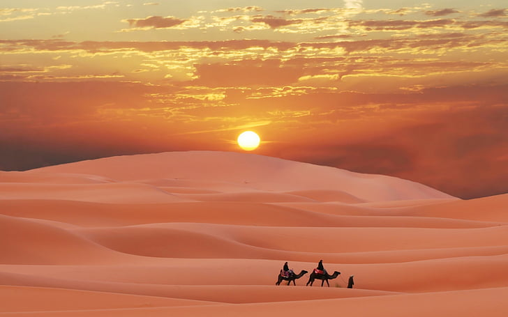 Sahara Escapes